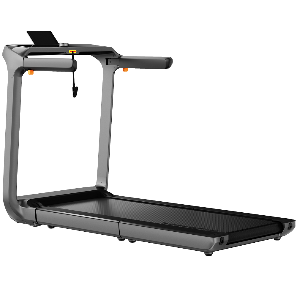 WalkingPad X218